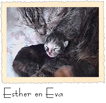 Esther en Eva