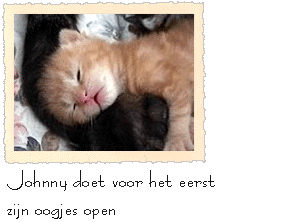 Johnny doet voor het eerst zijn oogjes open