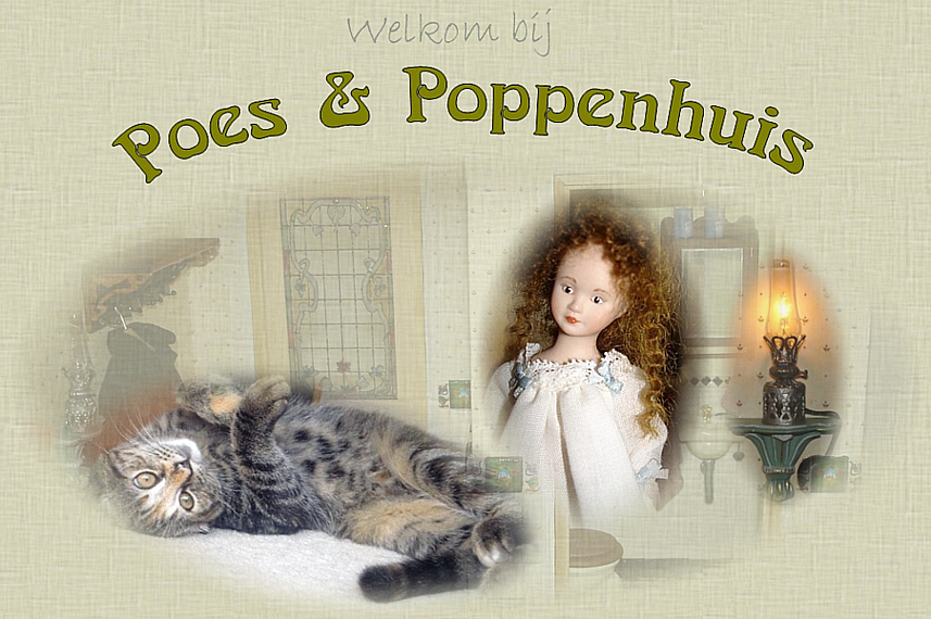 Welkom bij Poes & Poppenhuis